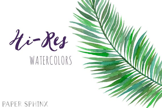 570x379 Watercolor Tropical Leaves Clipart Palm Leaves Clipart Etsy