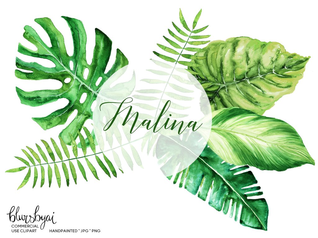 1024x768 Watercolor Tropical Leaves, Monstera Clipart, Palm Clipart Blursbyai