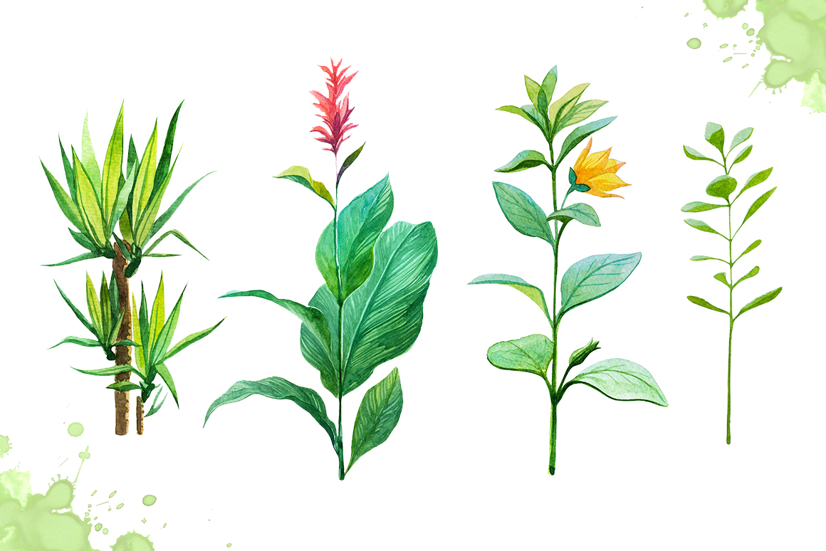 1160x774 Watercolor Tropical Leaves Set 2