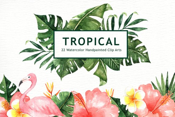 570x382 Tropical Leaves Watercolor Clipart Watercolor Flower Etsy