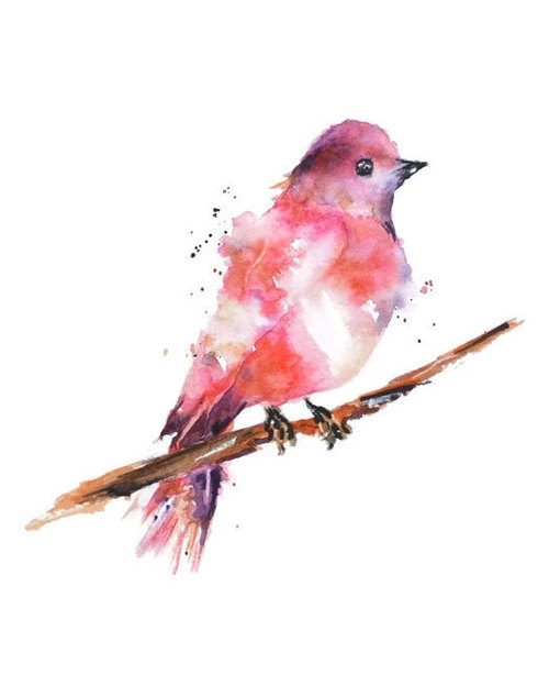 500x624 Watercolor Painting Tumblr Shared By Cap Martinus