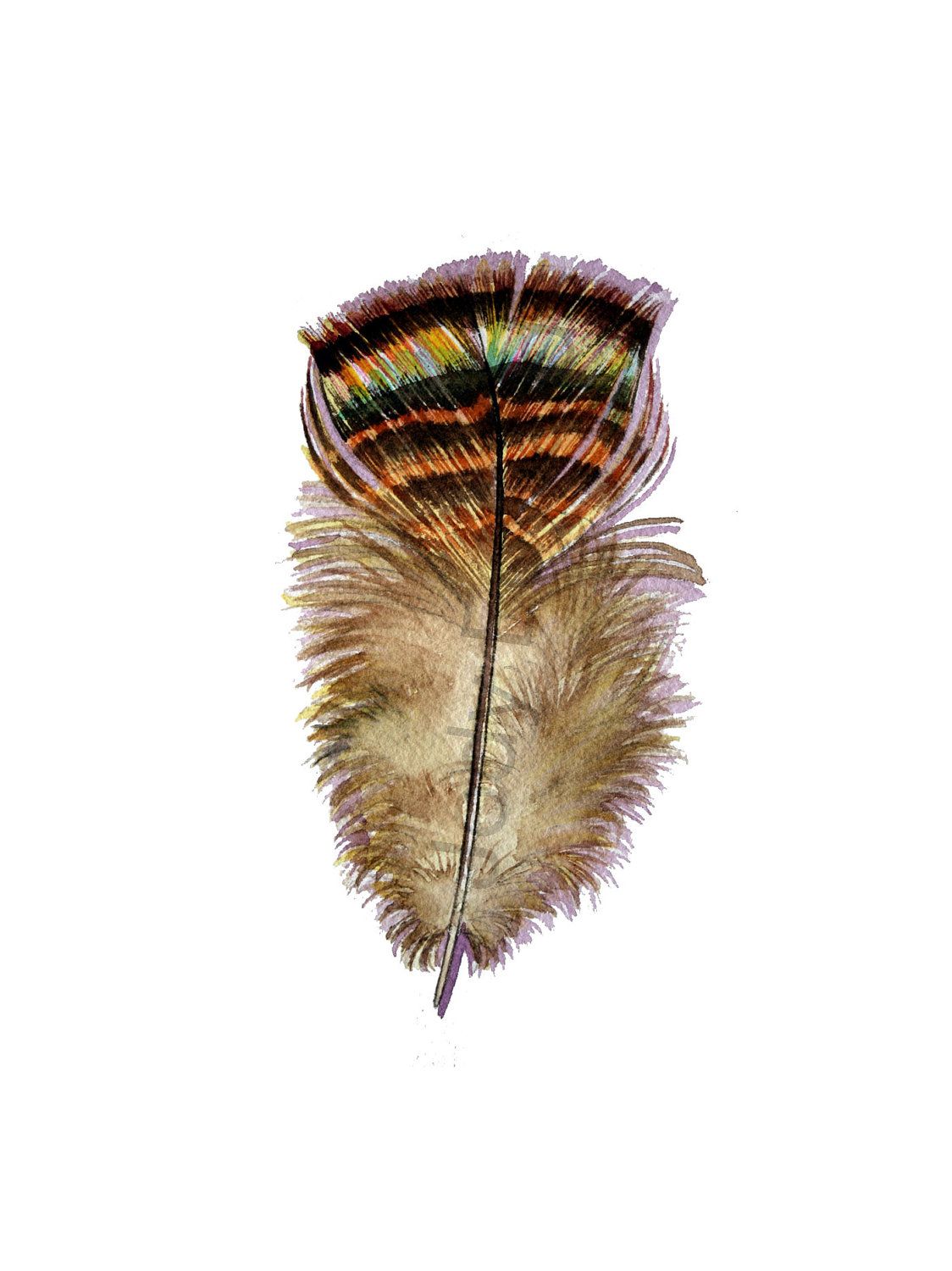 1124x1500 Turkey Feather Original Watercolor