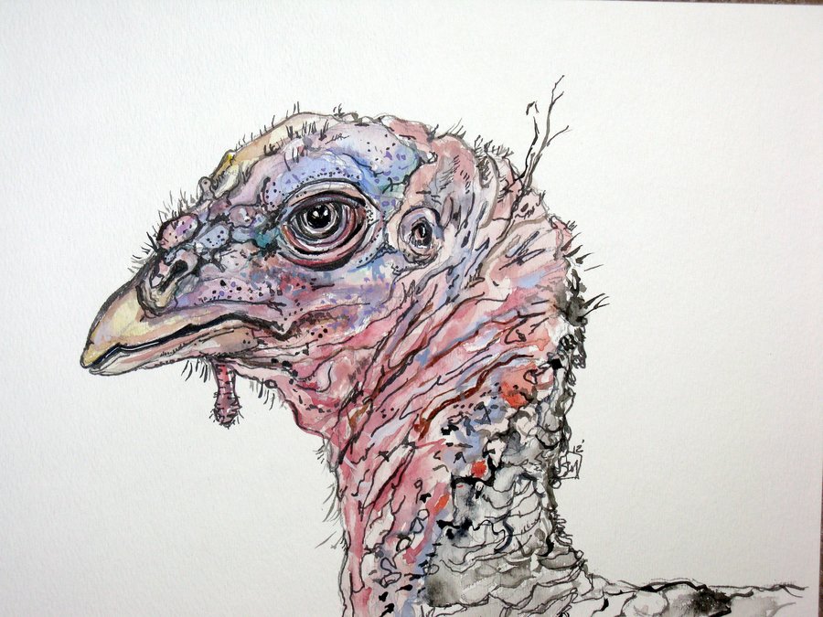 900x675 Turkey Watercolor Final By Lamelobo