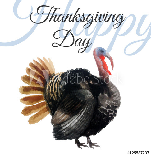 486x500 Watercolor Turkey