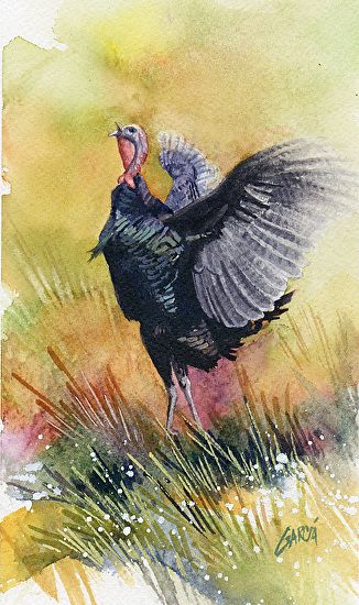 326x550 Wild Turkey Ii By Joe Garcia Watercolor Artwatercolor