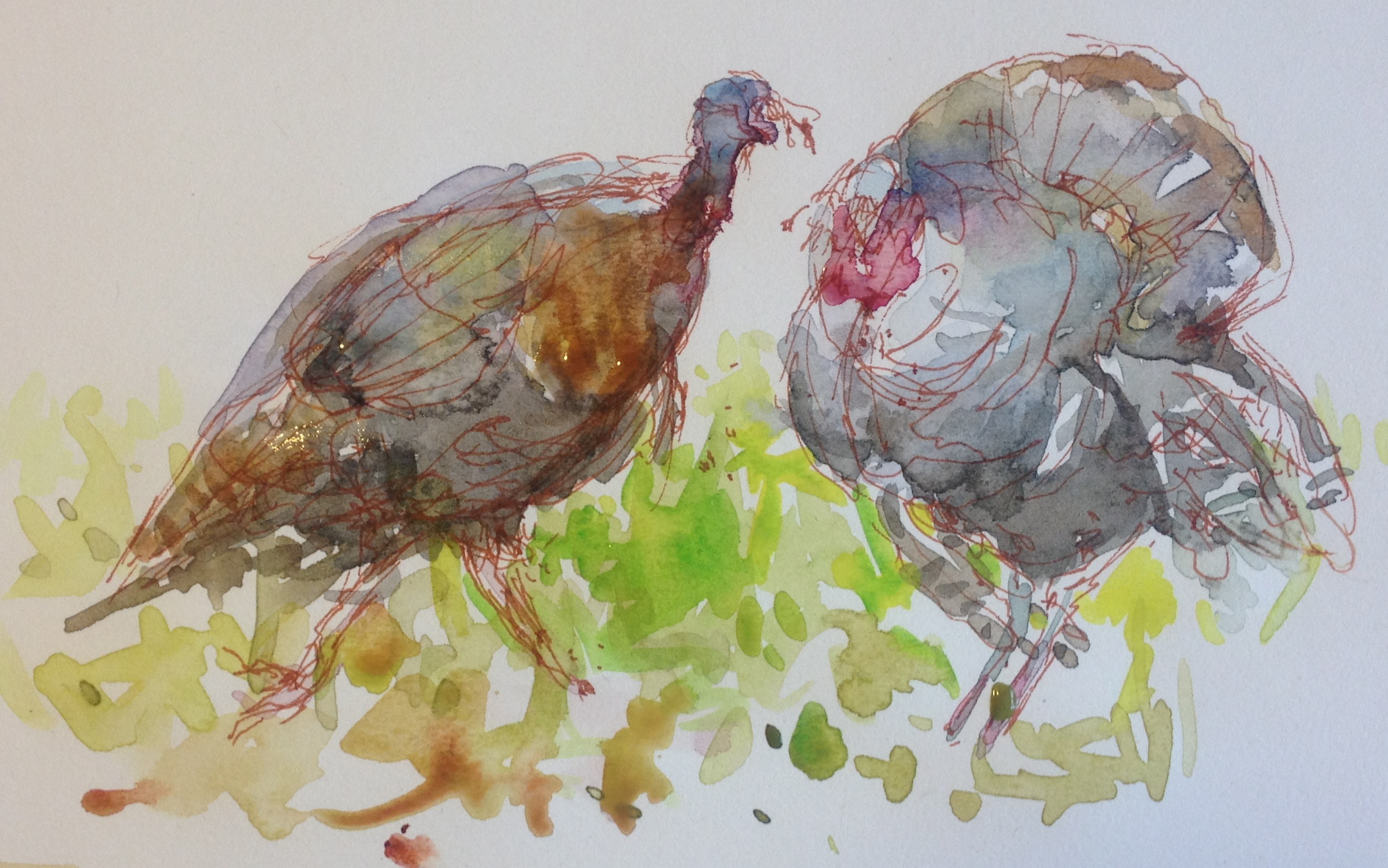 2165x1354 Watercolor Turkey Moveable Paintbox