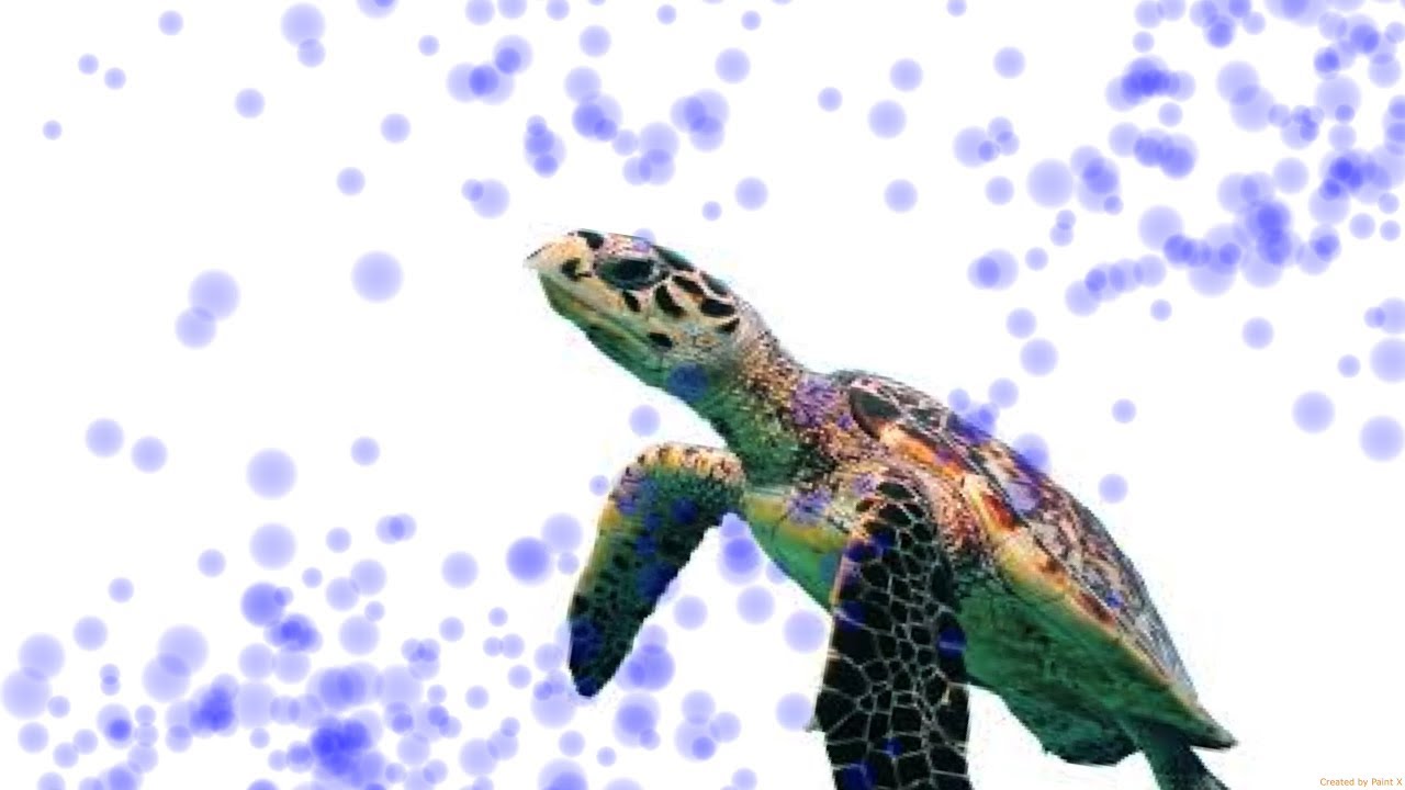 1280x720 Sea Turtle (Watercolor Painting)