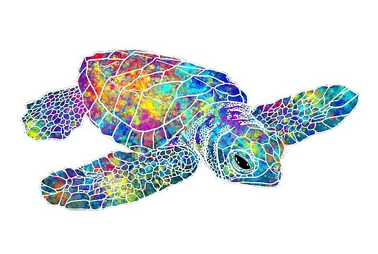 550x371 Sea Turtle Watercolor Art Posters By Maryedenoa Redbubble