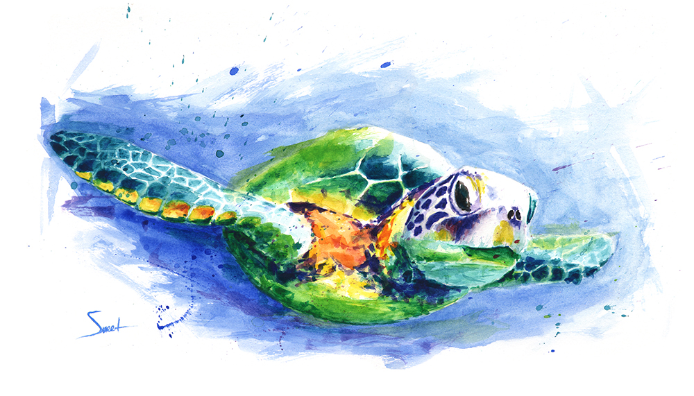 1000x571 Sea Turtle Watercolor Print Watercolor Animal Paintings