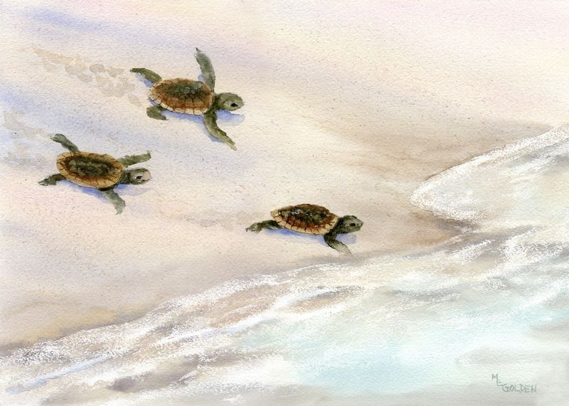800x571 Tracks In The Sand Sea Turtle Beach Print From Watercolor Painting