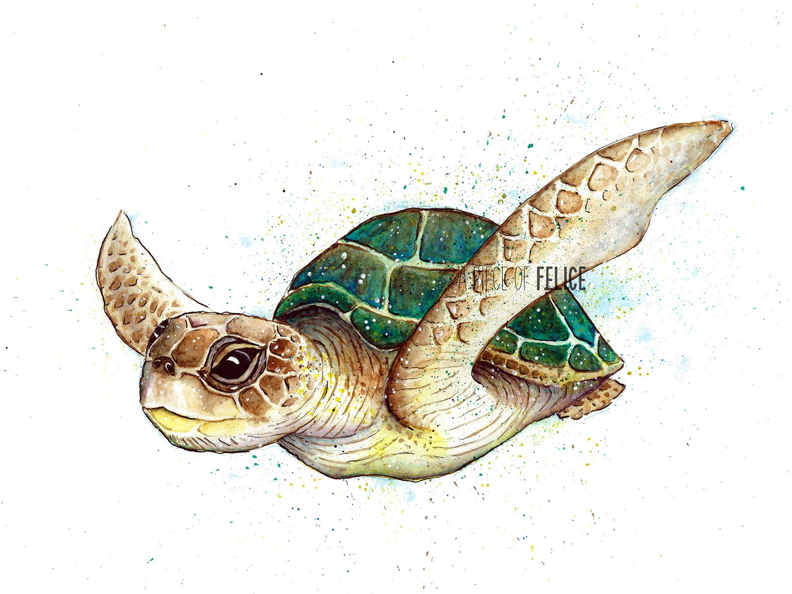 1575x1181 Turtle Watercolor Painting