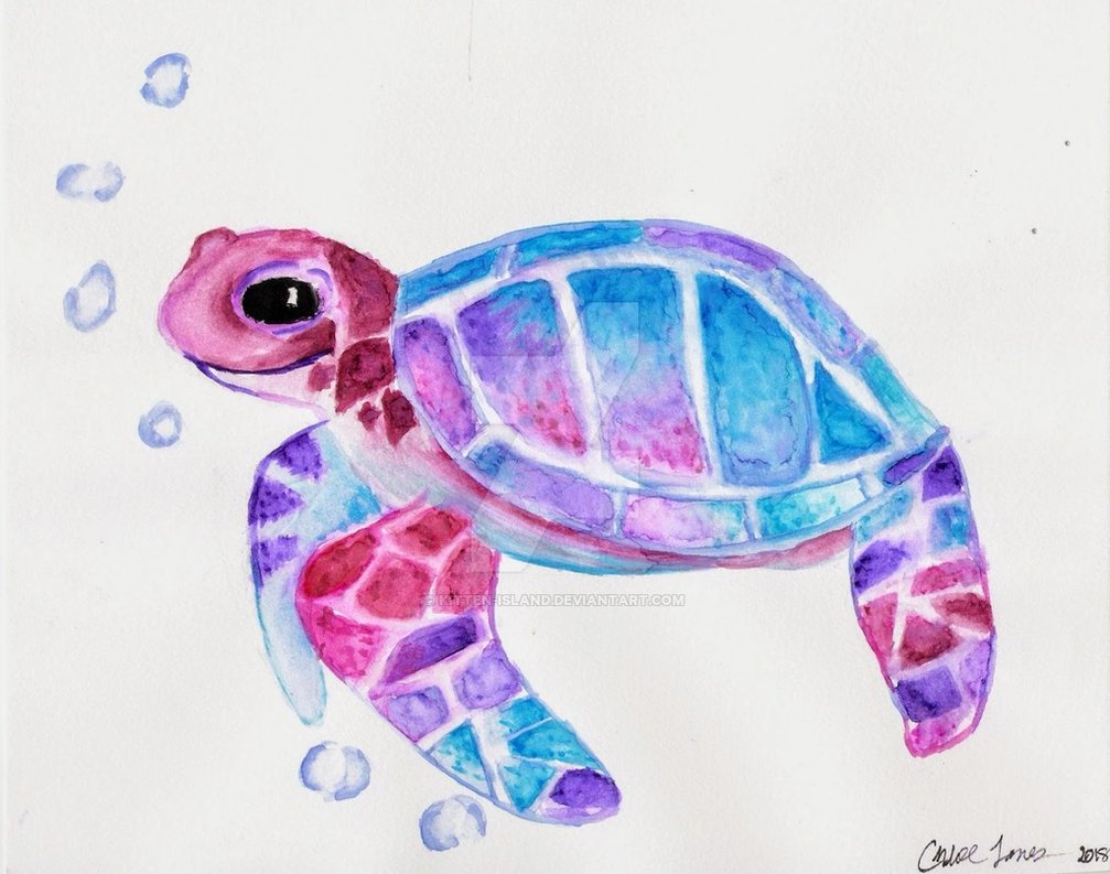 1007x793 Watercolor Turtle By Kitten Island