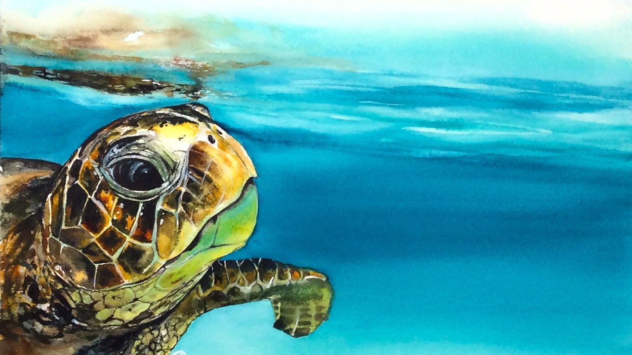 1280x720 Watercolor Turtle In A Water Painting Demonstration