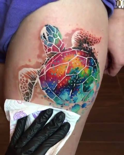 480x600 Super Watercolor Turtle By Artist Zinaida Pasko! @zinaidapaskowww