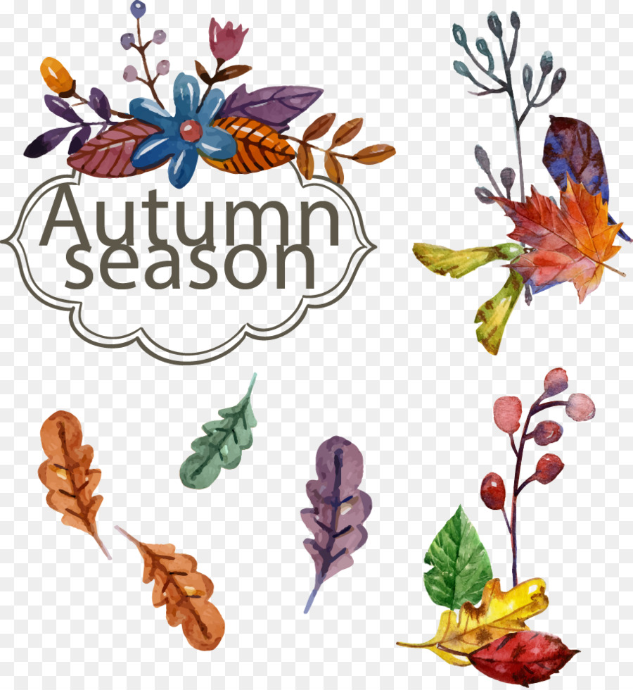 900x980 Typeface Font