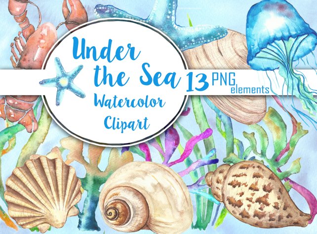 642x475 Sea Shells Watercolor Clipart Under The Sea Clip Art Etsy