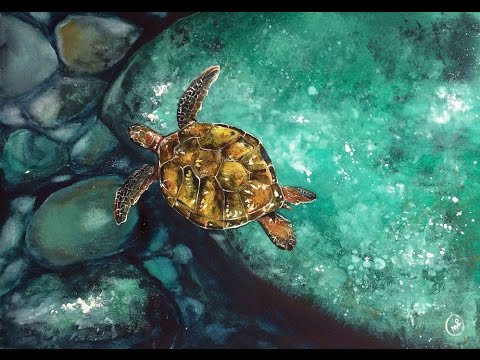 480x360 Watercolor Underwater Sea Turtle
