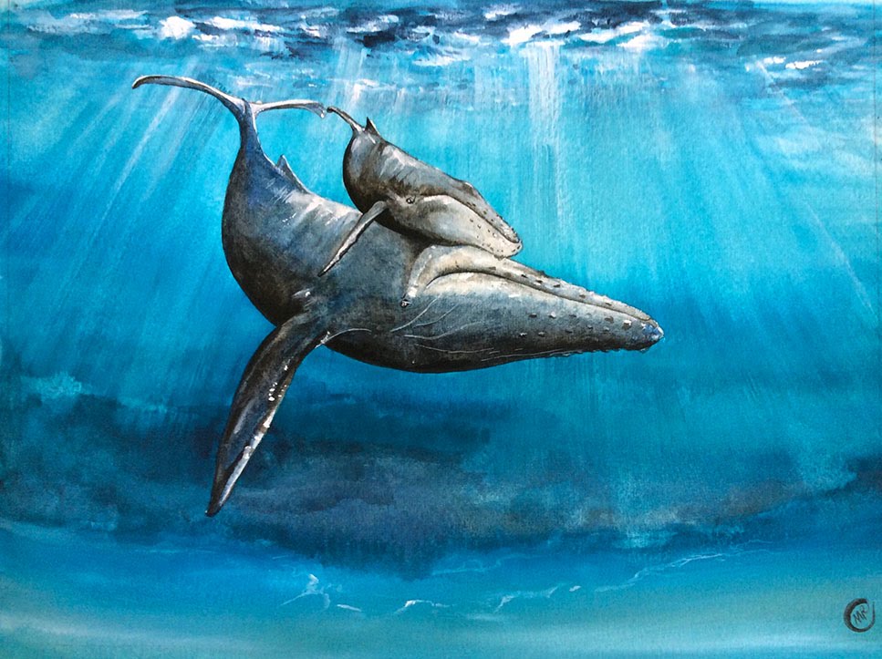 967x723 Watercolor Underwater Whale Painting Demonstration