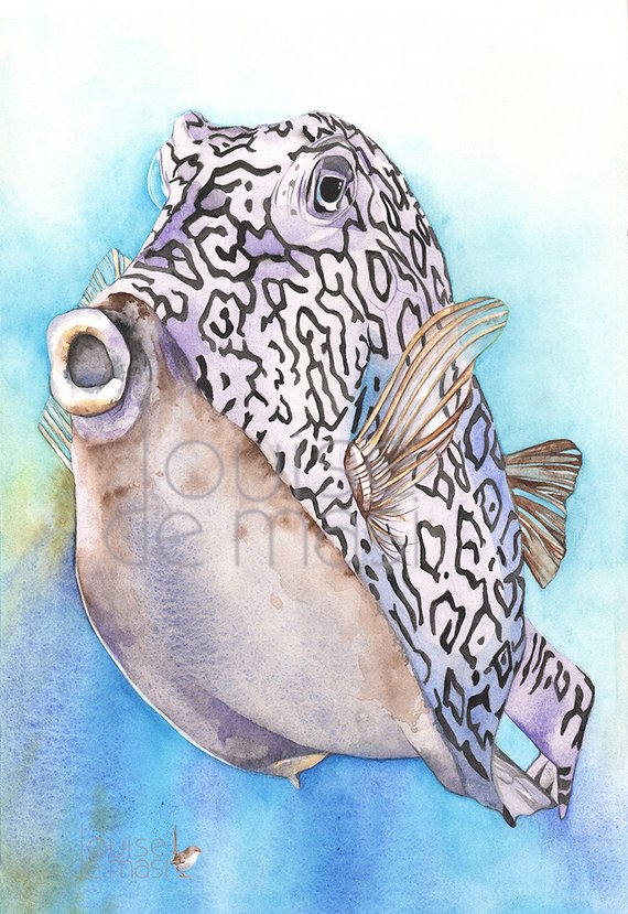 570x829 Cowfish Print Watercolor Painting Cf1916 Fish Painting Fish Etsy