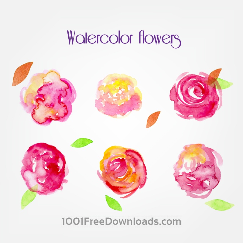 800x800 Free Vectors Watercolor Vector Flowers Flowers