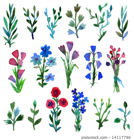 450x468 Watercolor Vector Set With Leaves And Flowers. Hand Drawn Plant