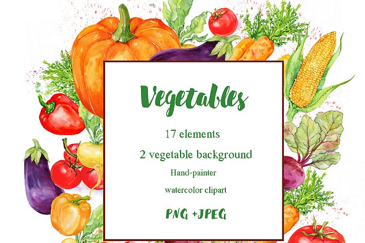 750x500 Vegetables Clipart.watercolor