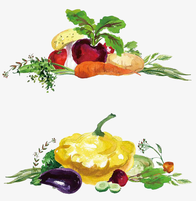 650x665 Watercolor Vegetables, Watercolor Clipart, Vegetables Clipart