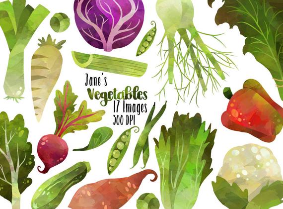 570x420 Watercolor Vegetables Clipart Healthy Food Download Etsy