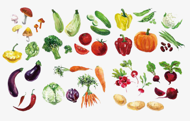 650x415 Watercolor Vegetables Png, Vectors, Psd, And Clipart For Free