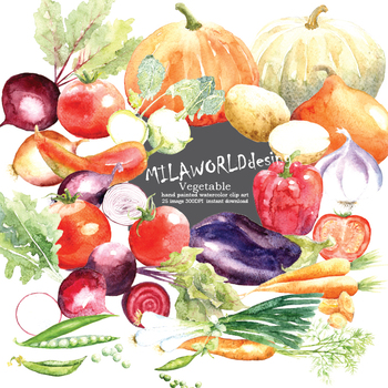 350x350 Watercolor Vegetables Clipart By Milaworlddesign Tpt