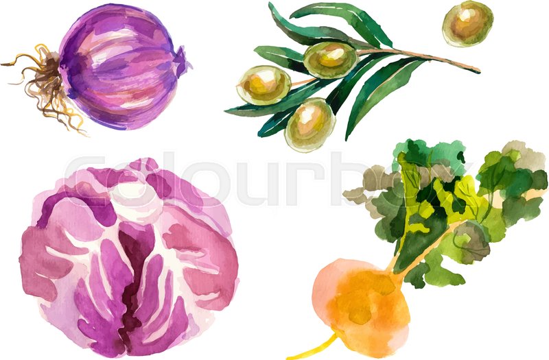 800x525 Watercolor Painted Collection Of Vegetables. Hand Drawn Fresh Food