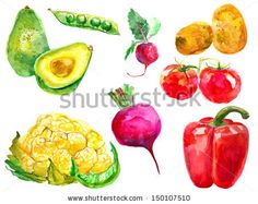 236x187 48 Best Watercolor Vegetables And Fruits Images
