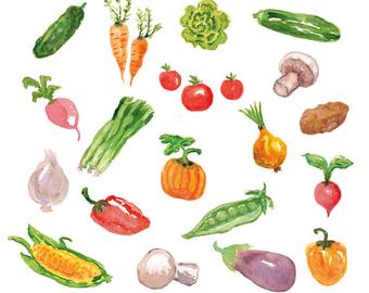 340x270 Watercolor Vegetable Etsy