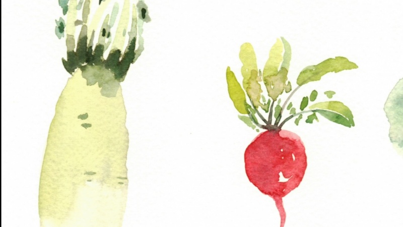 800x450 Watercolor Vegetables Skillshare Projects