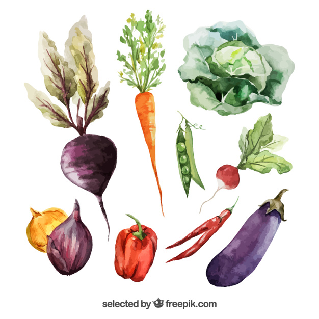 626x626 Watercolor Vegetables Vector Free Download