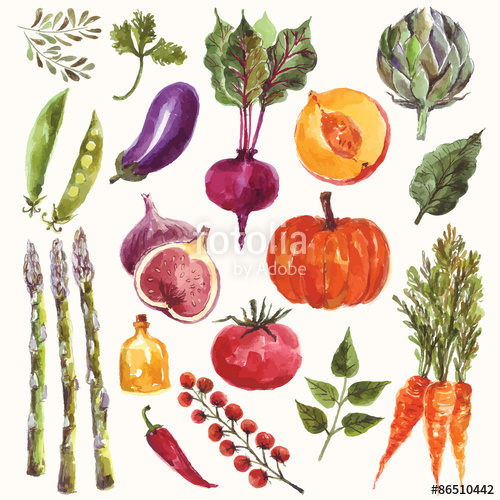 500x500 Watercolor Vegetables And Fruit Stock Image And Royalty Free