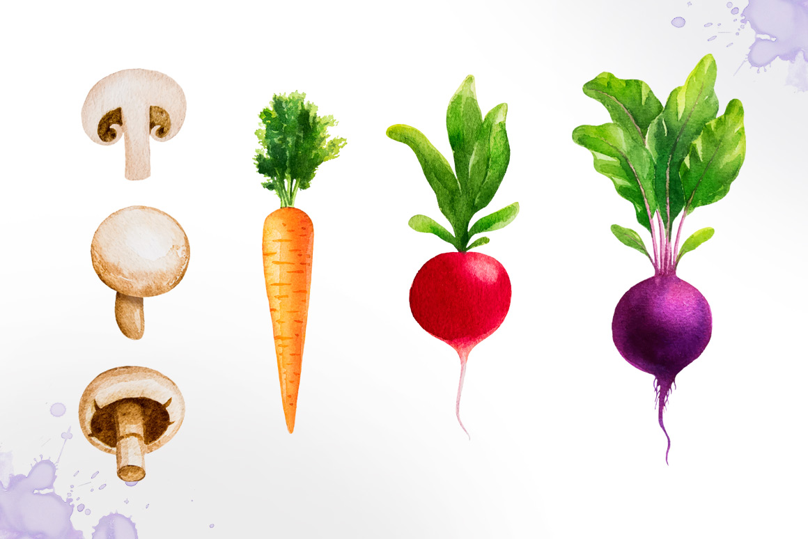 1160x774 Watercolor Vegetables By Alex Green