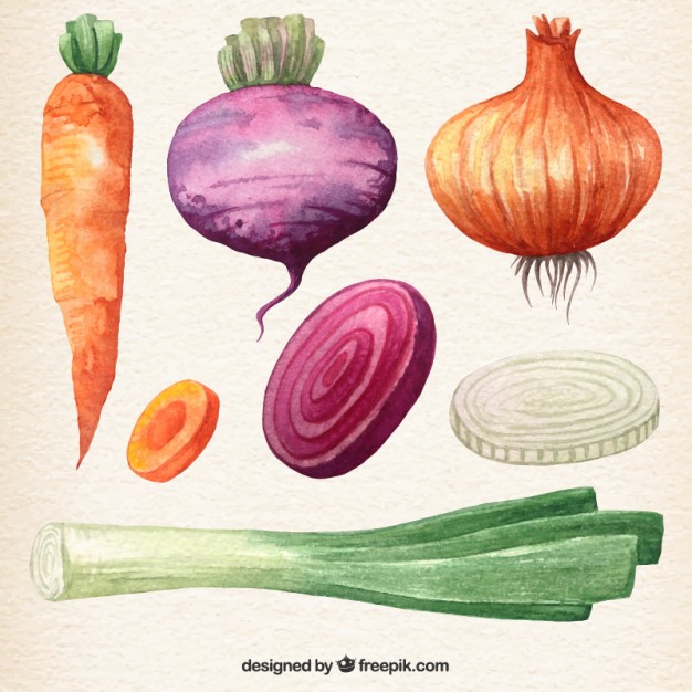 626x626 Watercolor Vegetables Collection Vector Free Download