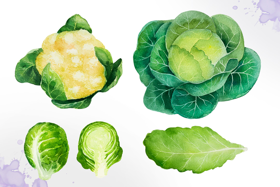 1160x774 Watercolor Vegetables