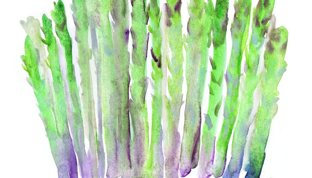 1000x570 Watercolor Vegetables Watercolor Watercolor