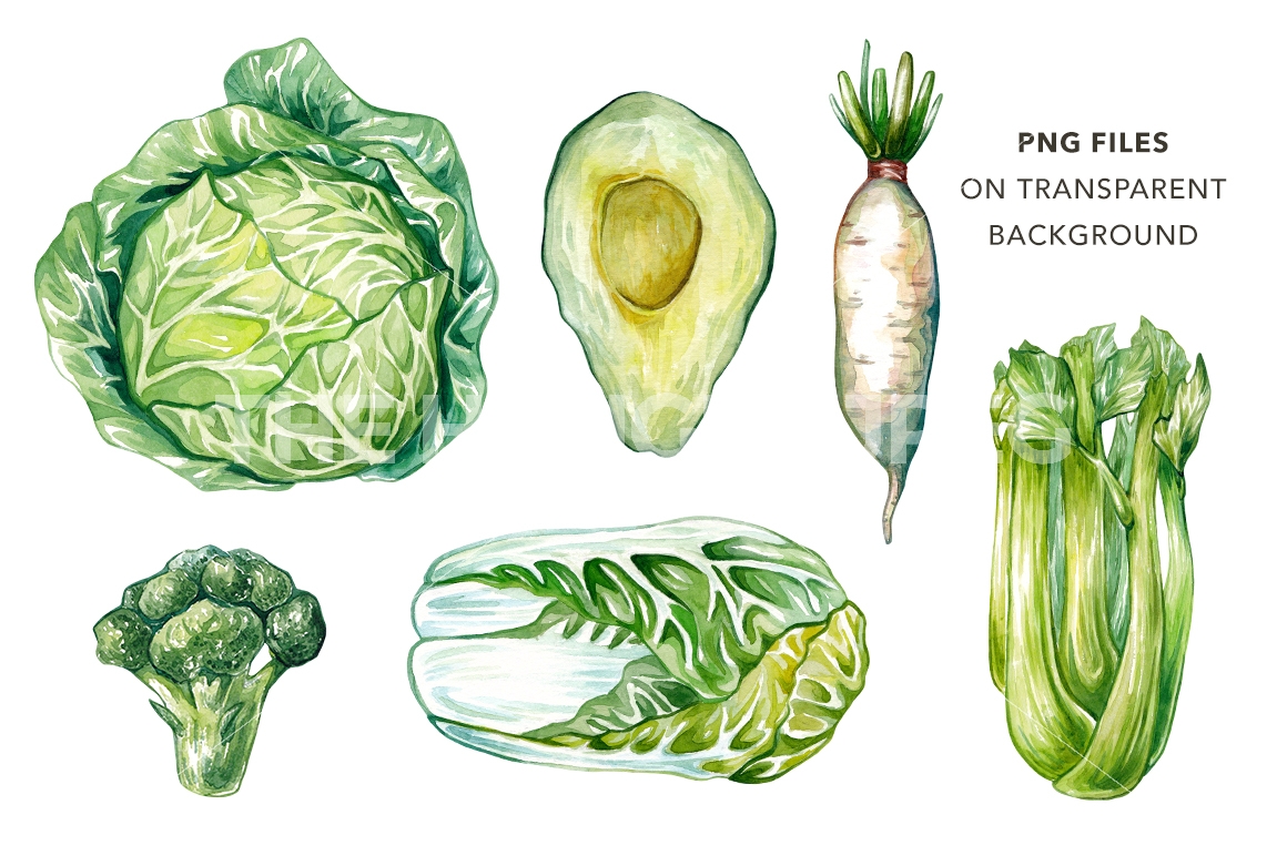 1160x772 Green Vegetables. Watercolor Bundle By Olga Olmix