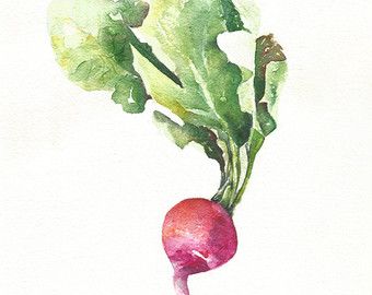 340x270 Image Result For Watercolor Vegetables Watercolor Vegetables
