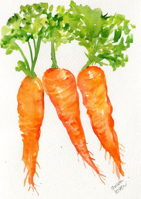 570x804 Original Carrots Watercolor Painting 5 X 7 Small Vegetable