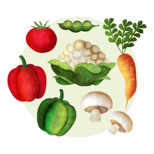490x490 Vector Watercolor Vegetables