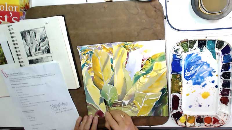 800x449 Watercolor Video