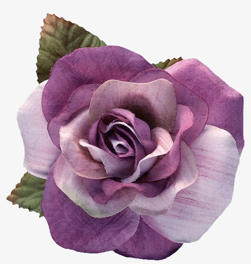 500x525 Line Drawing Flowers Flowers Videos, Line Clipart, Flowers Line