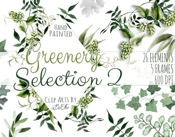 570x448 Greenery Clipart Leaves Leaf Vines Fern Watercolor Clip Art Etsy