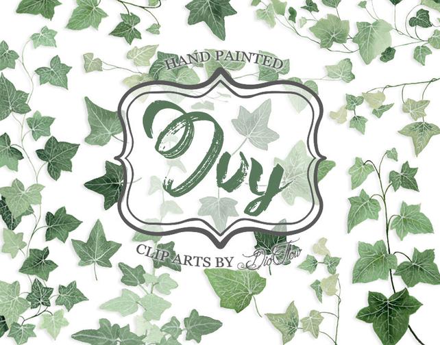 642x504 Greenery Ivy Clipart Watercolor Clip Art Vines Leaf Woodland Etsy