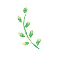 200x200 Leaf Leaves Nature Plant Plants Foliage Foliages Environment