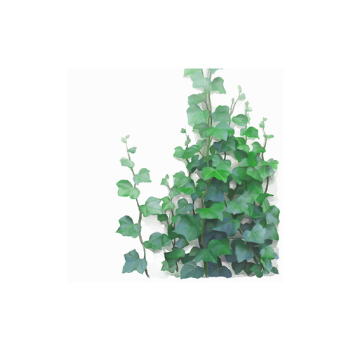 500x500 Watercolor Ivy
